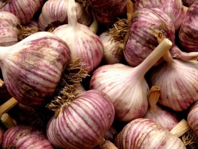 ��� ��������� ��������� ������ ������: ��� ������� � ������