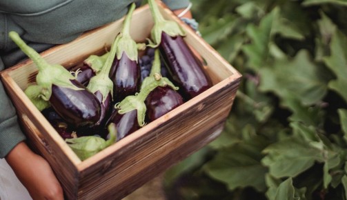 ����� � ����������� �������: ������� ������, ������� � ����������