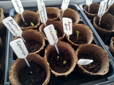 �������� ����������: ��� ����� ����� ����� ��������������