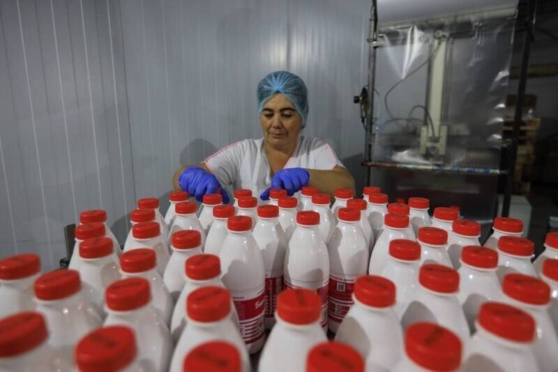 Кунжут вместо молока: Как легко восполнить дефицит кальция