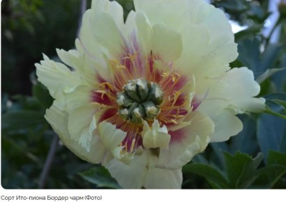 ��� ������� ��������� ��� ����� ��� ������ ����