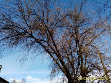 22 марта: загадки весны и народные приметы для садоводов