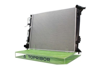 ������ ��������� �������� ��������: ��� ���������� �� ������������ � �������� ���������