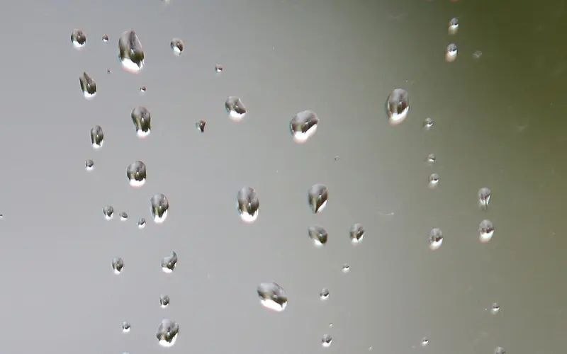 Первый весенний дождь ожидается в Мордовии в середине текущей недели