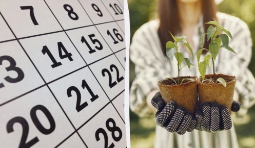 ������ ��������� ��� ������ � ����� 2026: ������� �������� �������