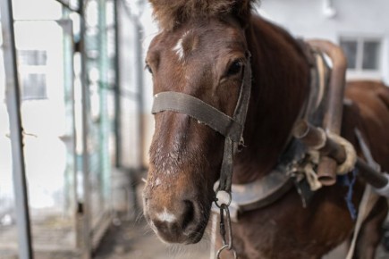 ������, ��, �� �������, ��� � ������ ���������� �� ������