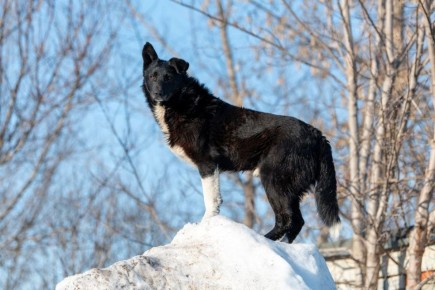 ������������ �����-����� ����-���� ����������, ��� ��� ����� ������� ���� � �������� ���������� ����, ���� ���������� �������� �����!