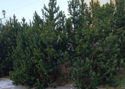 66 лет: новый взгляд на счастье и его простота