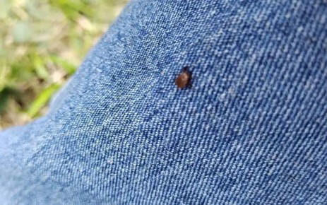 ��������������� ������������ ������ �������� ���������� � �������� ������������� ������������ ����� � �������� �� ����� ������� �����������, ��� ���������, ����������� � ��������, ������������ ������� ��������� �����