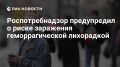 Из-за весенней активности мелких млекопитающих увеличивается риск для людей заразиться геморрагической лихорадкой с почечным синдромом