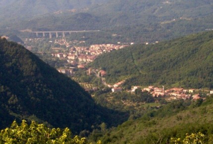 Трава как новый тренд: что стоит за популярностью луниджанского пирога