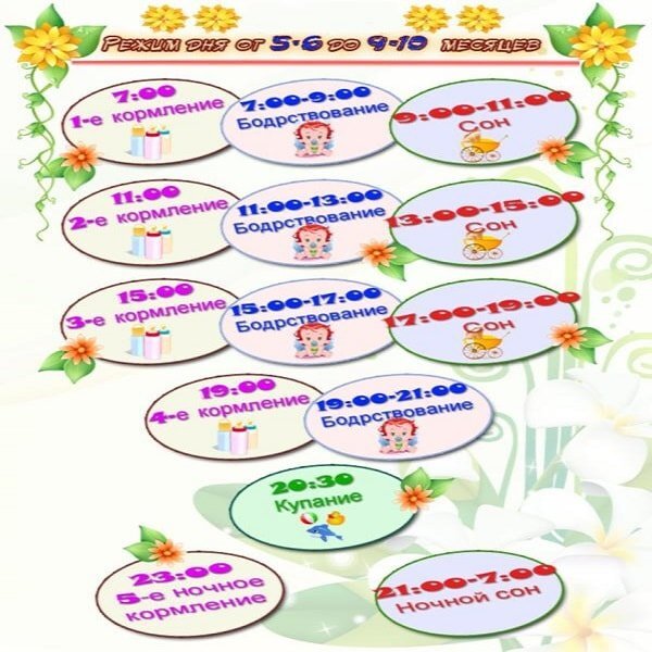 Как правильно организовать режим дня малыша в 6 месяцев