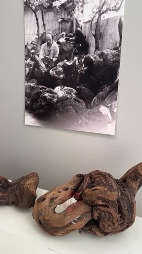 ��������������� ������� ����� ��������� �������� �������������� ���� - 150����� �� ��� �������� ����������� ���������� ������� �����