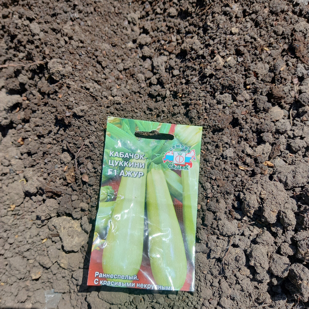 Как выбрать сорта кабачков для урожая с июня по ноябрь