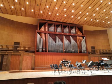 Зачем приводить малышей на концерты классической музыки?