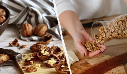 Как правильно хранить грецкие орехи: советы, чтобы избежать отсыревания