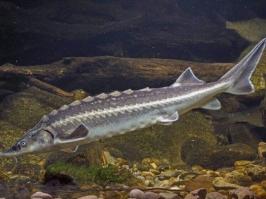 �� ����� ��� �������� ������ ���������� ���� ��������� �������