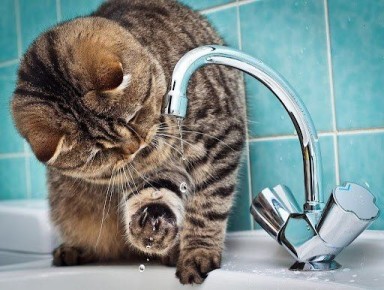 � �������� �������� �������� �������� ����