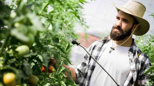 ������������ ������: ��� ����� ������ ����� ���������