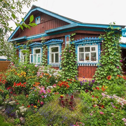 Сад в деревенском стиле: вдохновение из бабушкиного палисадника