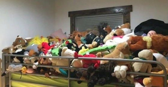 Воскресная разминка: найдите котика за 10 секунд