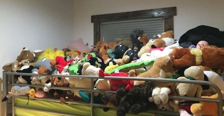 Воскресная разминка: найдите котика за 10 секунд