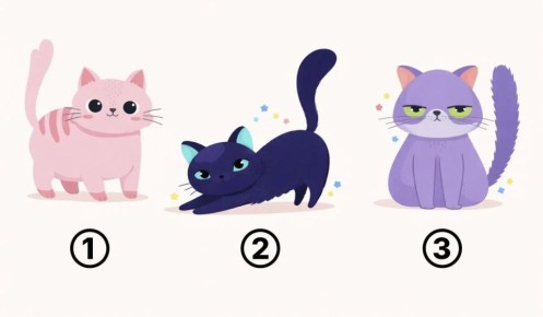 ����� ������� ������� � ��� ������ �����? �������� ���� � ������� ������ �������