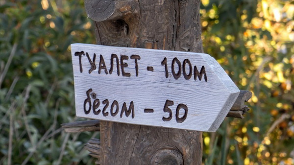 Как отказ от необычных задач принёс победу и полмиллиона рублей