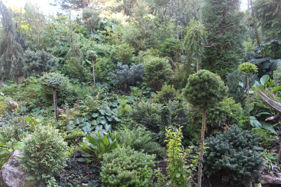 ��� ������� ��������� ��������� ��� �������� ����