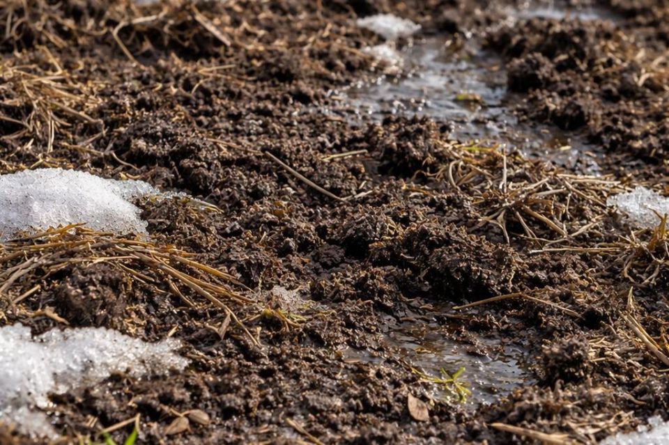 ������ �����: ����� �� ��� ������ � ������ ������?