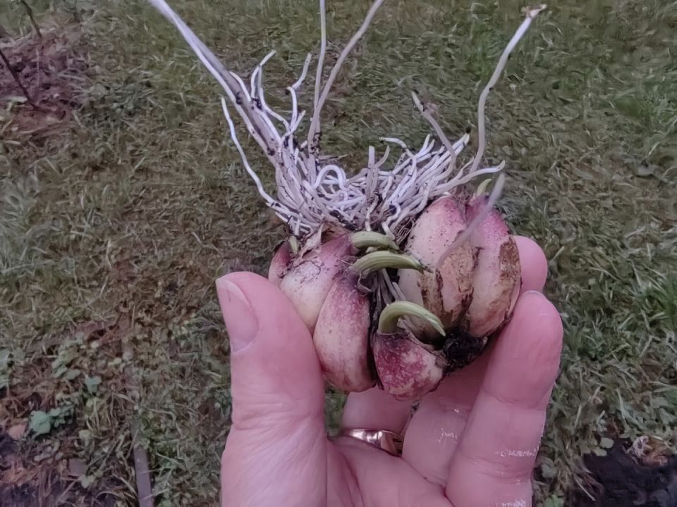 ��� ����������� ��� � ���� � ������� ��� ���������