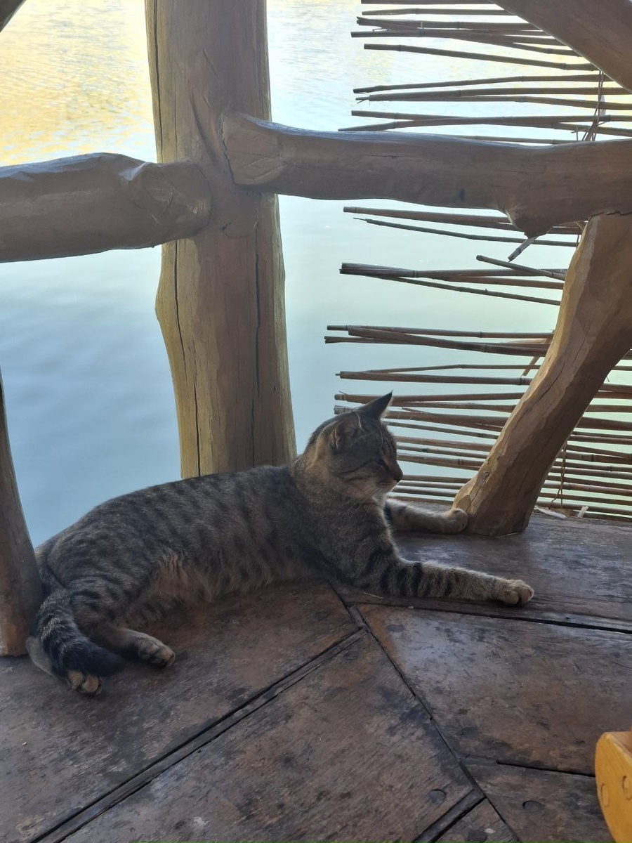 Чарующая кухня Армении: Путешествие в мир вкусов