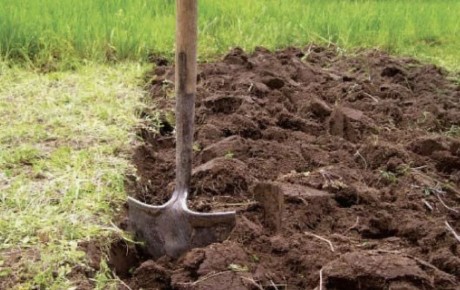 Как правильно подготовить грядки к зиме: советы органического огородника