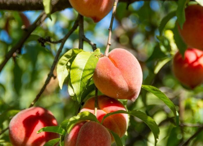 ���������� � ��������: ��� �������� ������ �� ��������