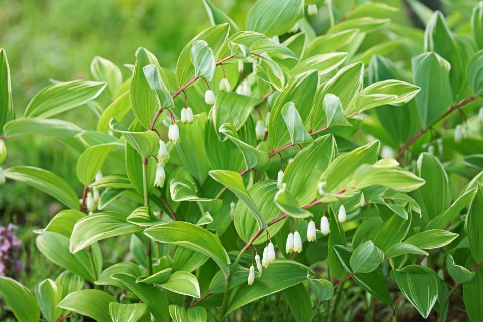 ������: ������� ���������, �������� ���������� ��� �������� ������� ����