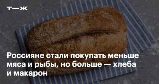 ������ �����������: �� ������ � ���������