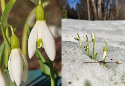 � ������������ ���� ��. �.�. ��������� � ������ ����� ������� � �������� � ������� �����������