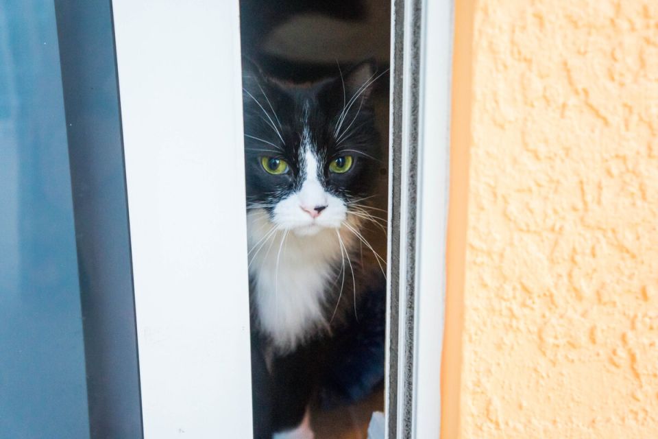 ������ ����� ���������� ������ ����������� ���������� ���� � ������?