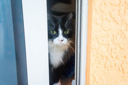 ������ ����� ���������� ������ ����������� ���������� ���� � ������?