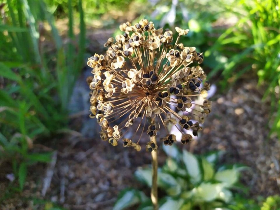 ����� � ��� �������� ������ ����: ������ �� ��������