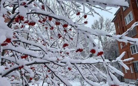 ���� � �������, ��� � ������� ��� ������ ������