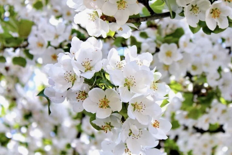 ��� ��������� ������� ��������� ��� ����� ������� �������