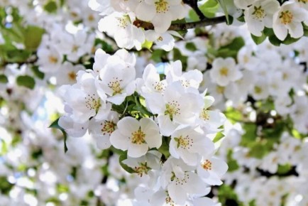 ��� ��������� ������� ��������� ��� ����� ������� �������