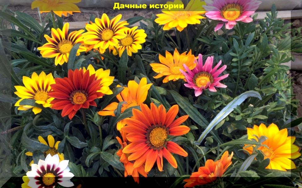 ���������� ������: ��� ��������� ����� ���������� ����� ��� ����