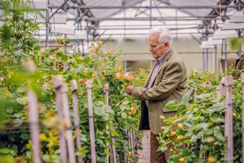 ����� �����: �����, ����������� ������ � �������� � �����������