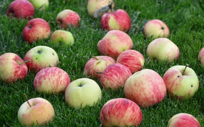 ������ ������ ������ ����� � ���� � ��� ��������� ������