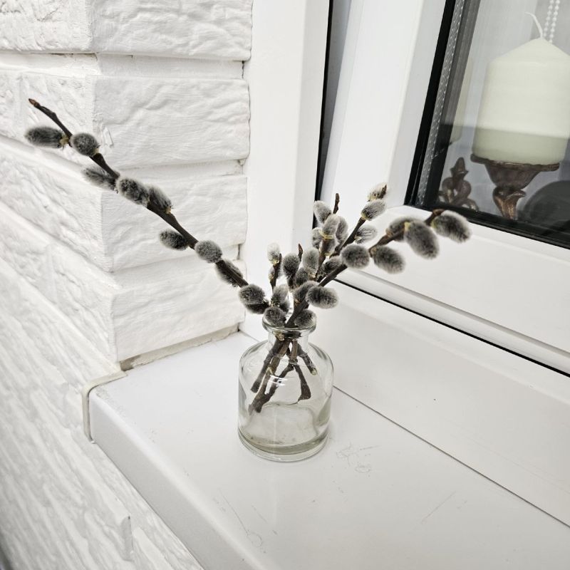 ���� - ����, ������� � �����! ������� ������������ ��������� ������� ��������: ������� �����������, ��� ���� ��������� � ���������