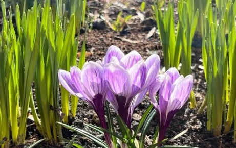 12 апреля православные отпразднуют Светлое Христово Воскресение