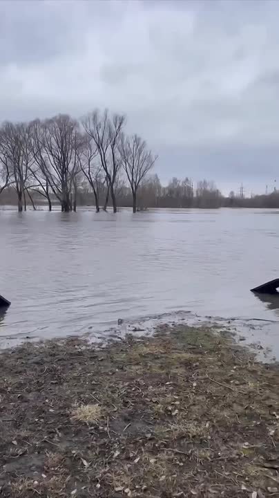 На реках Мордовии продолжается интенсивный подъем воды: Сивинь, Алтырь и Штырма уже вышли из берегов