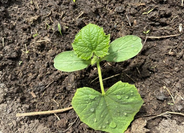 ������ �� ����� �������: ��� �������� ��������� ������ � ������� �������� ��������